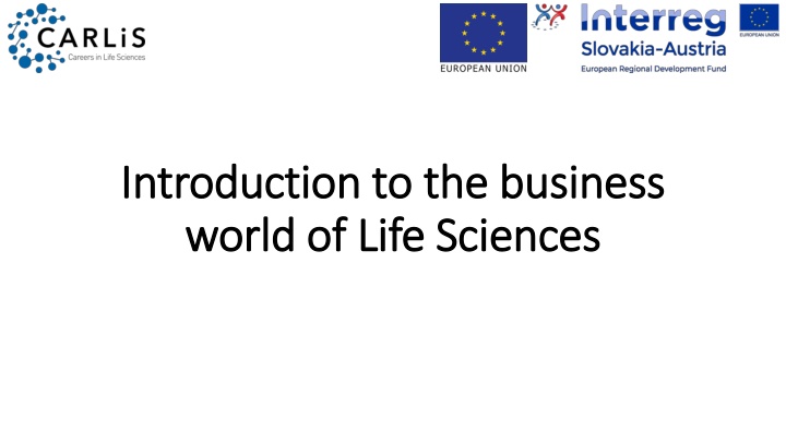introduction to the business introduction