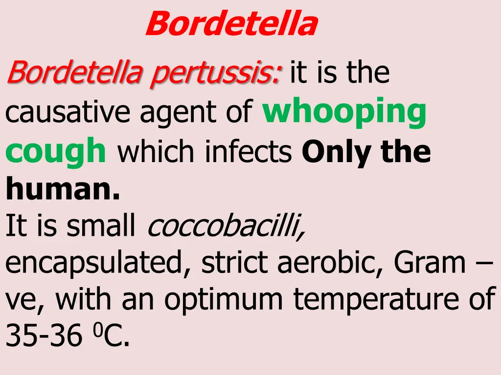 bordetella