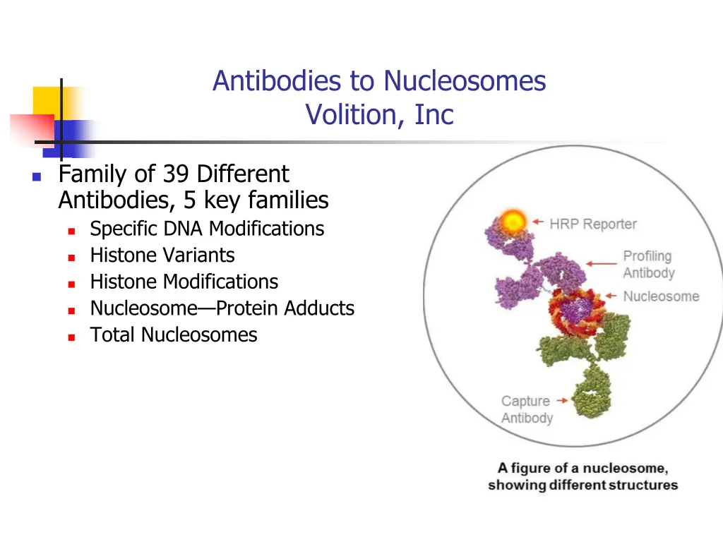 antibodies to nucleosomes volition inc