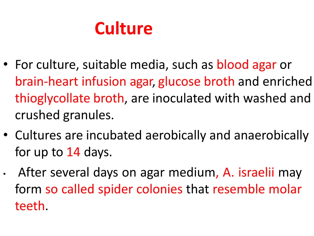 culture