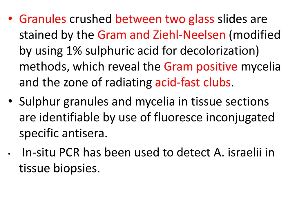 granules crushed between two glass slides