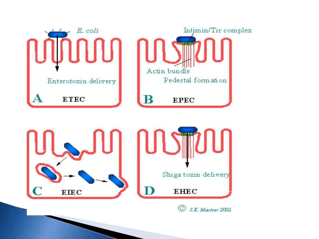 slide29