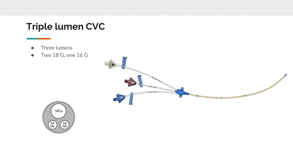 triple lumen cvc