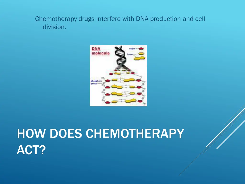 chemotherapy drugs interfere with dna production