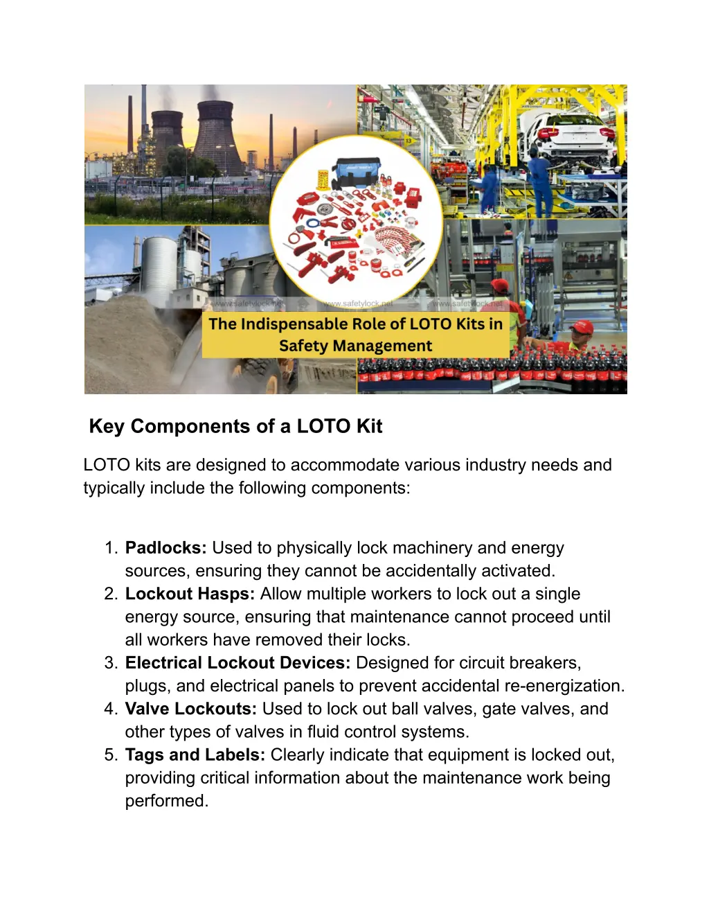 key components of a loto kit