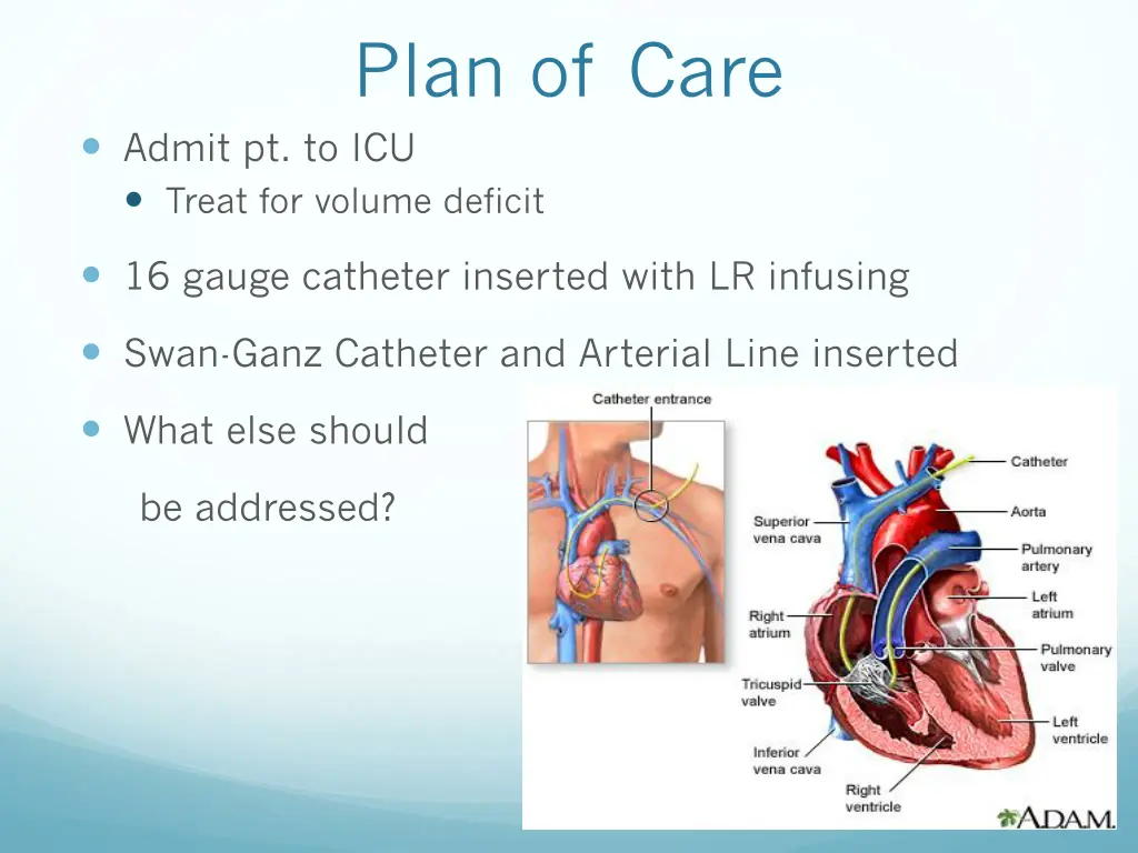 plan of care