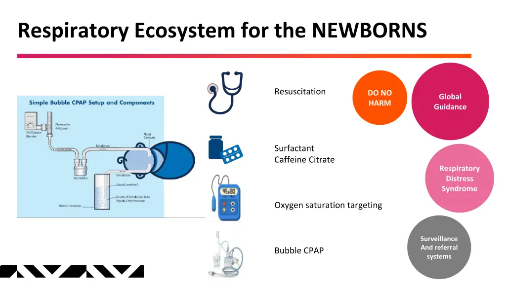 respiratory ecosystem for the newborns