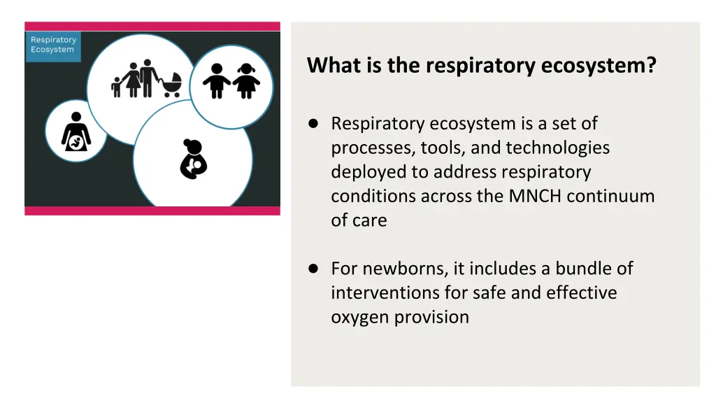 what is the respiratory ecosystem