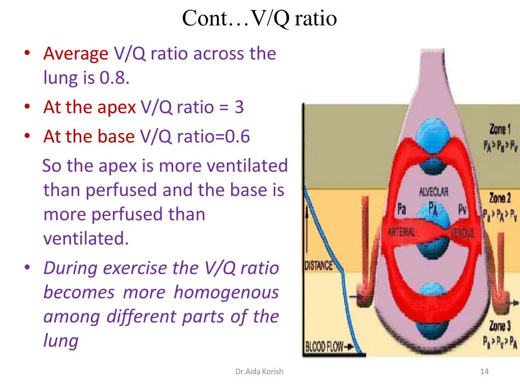 cont v q ratio