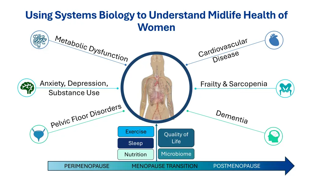 using systems biology to understand midlife