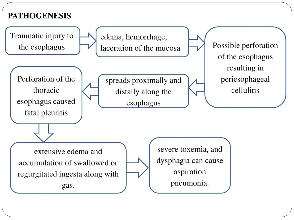 pathogenesis