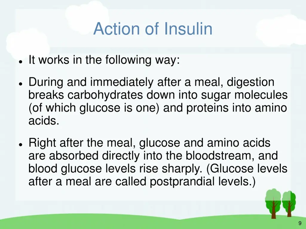 action of insulin