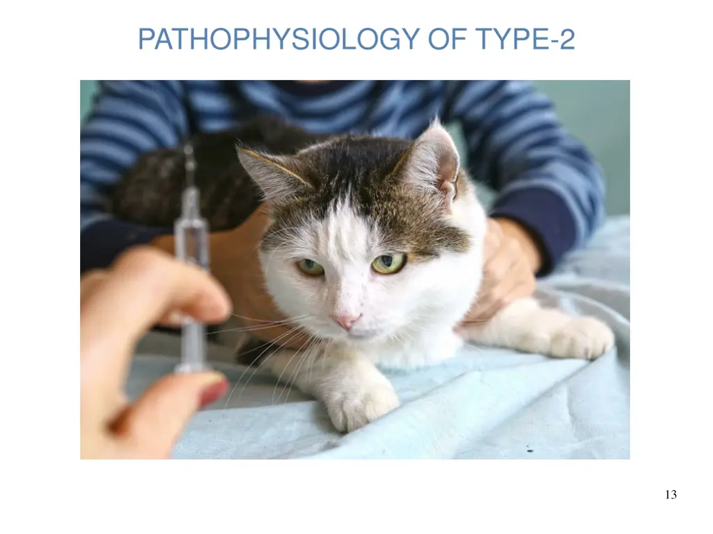 pathophysiology of type 2