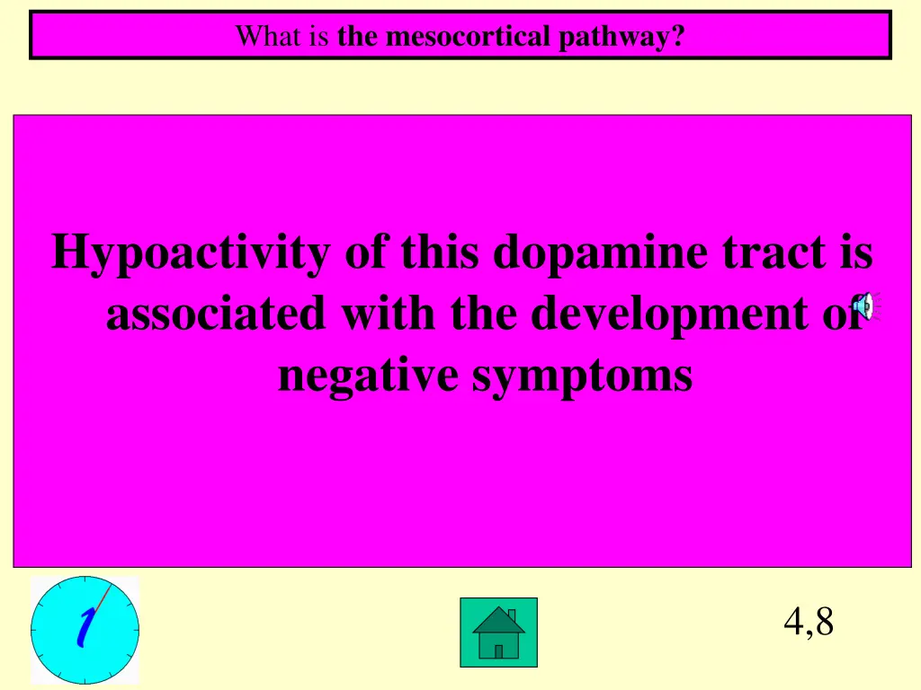 what is the mesocortical pathway