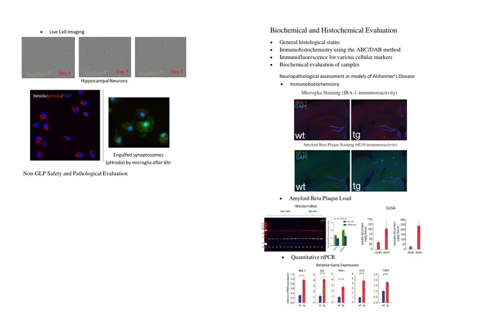 biochemical and histochemical evaluation
