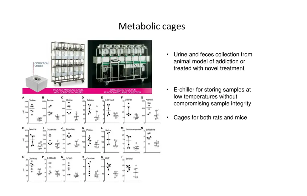 metabolic cages