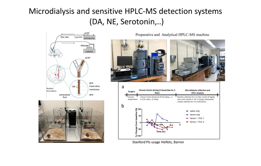 microdialysis and sensitive hplc ms detection