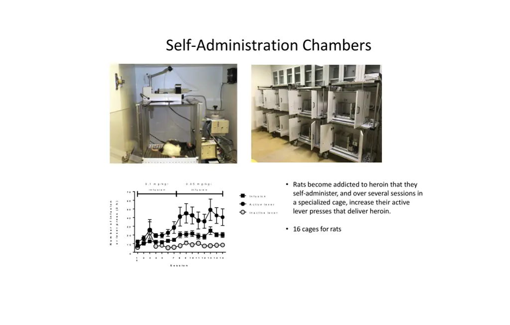 self administration chambers