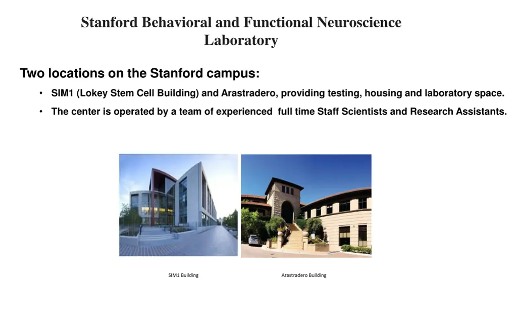 stanford behavioral and functional neuroscience 1