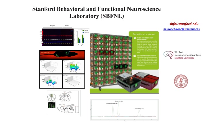 stanford behavioral and functional neuroscience