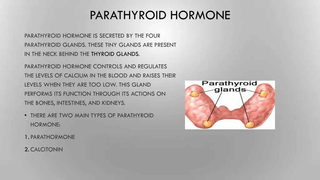 parathyroid hormone