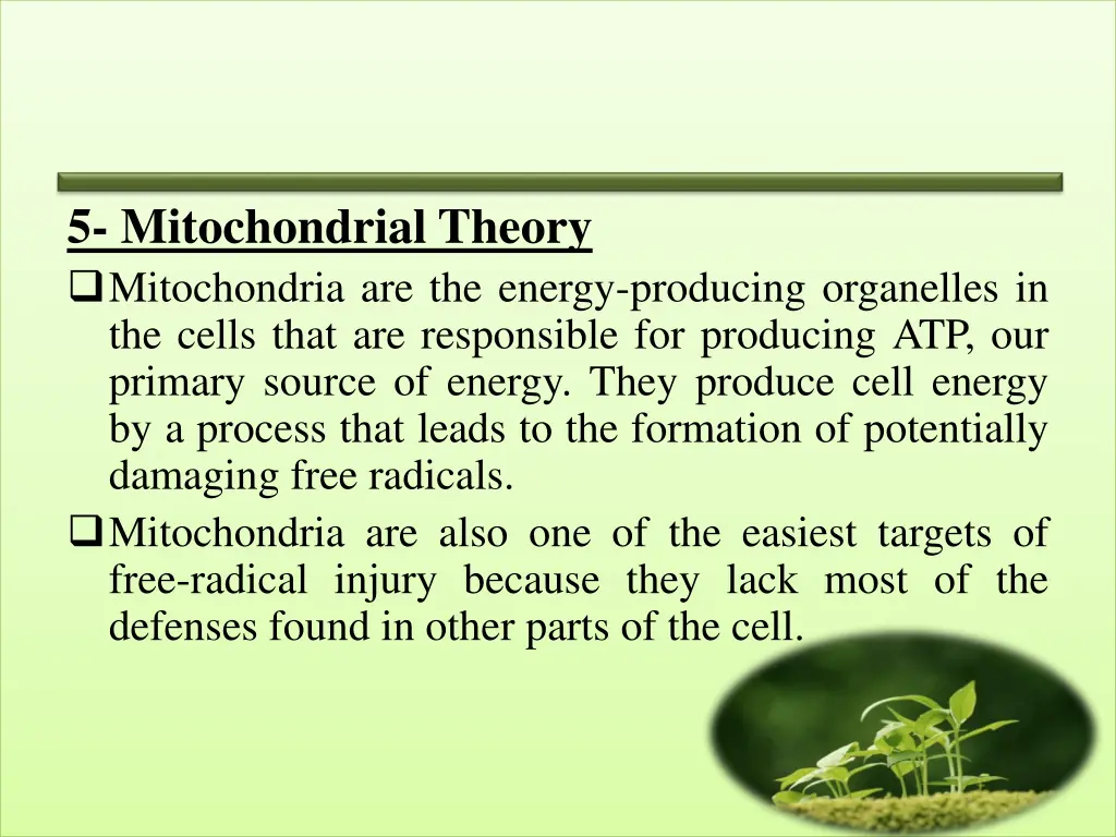 5 mitochondrial theory mitochondria