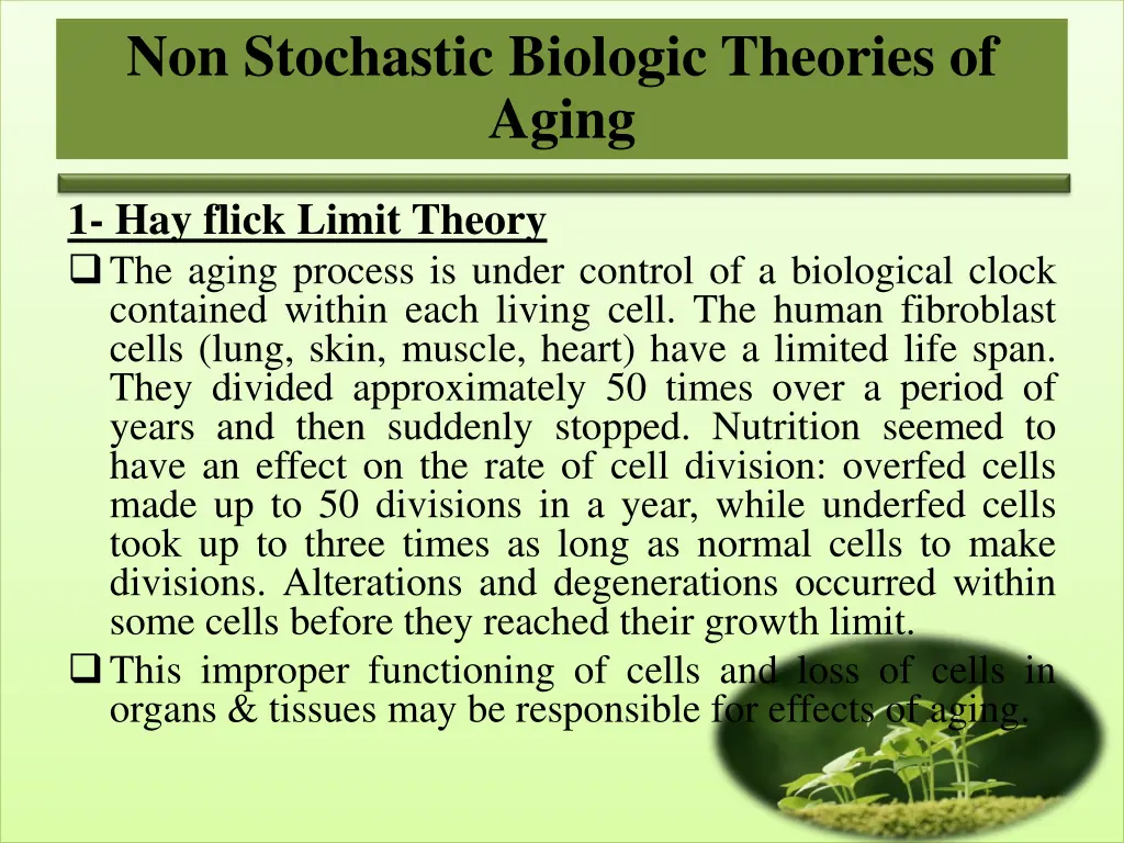 non stochastic biologic theories of aging