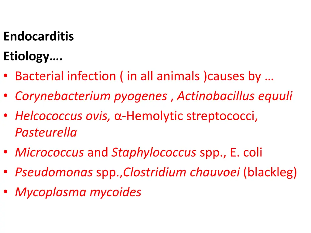 endocarditis etiology bacterial infection