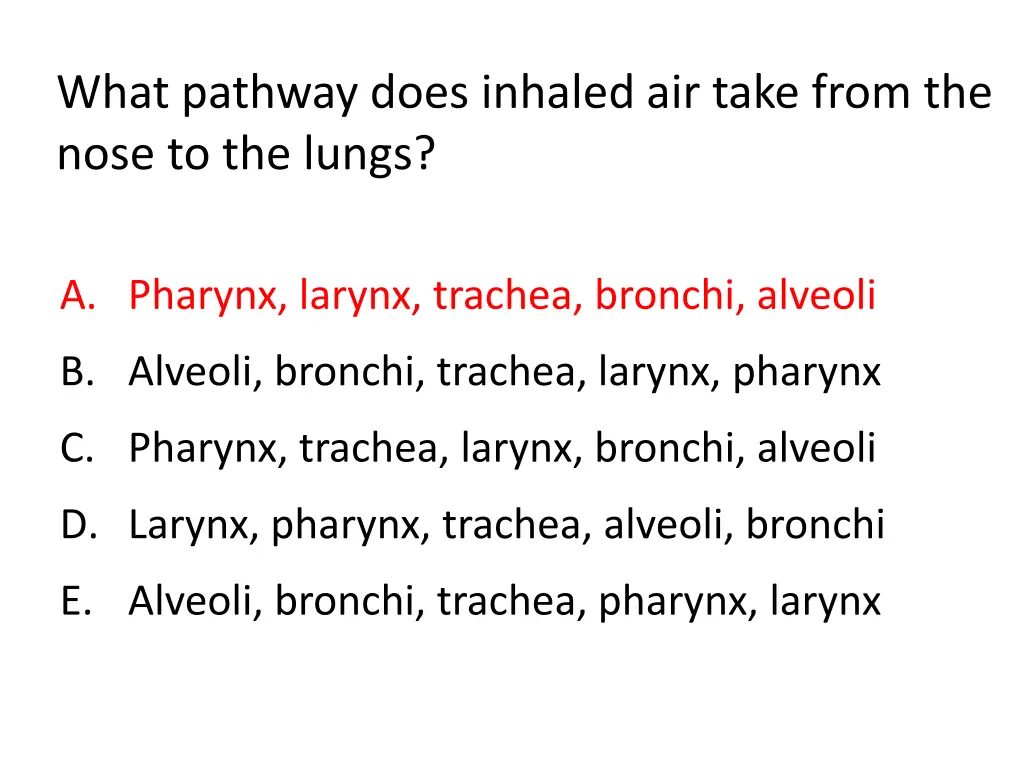 what pathway does inhaled air take from the nose