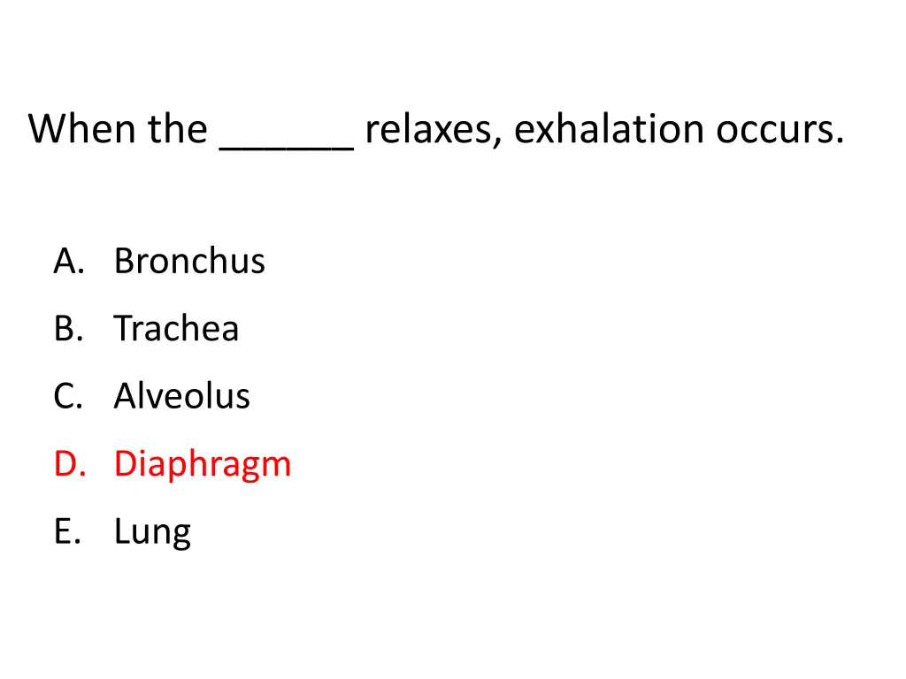 when the relaxes exhalation occurs