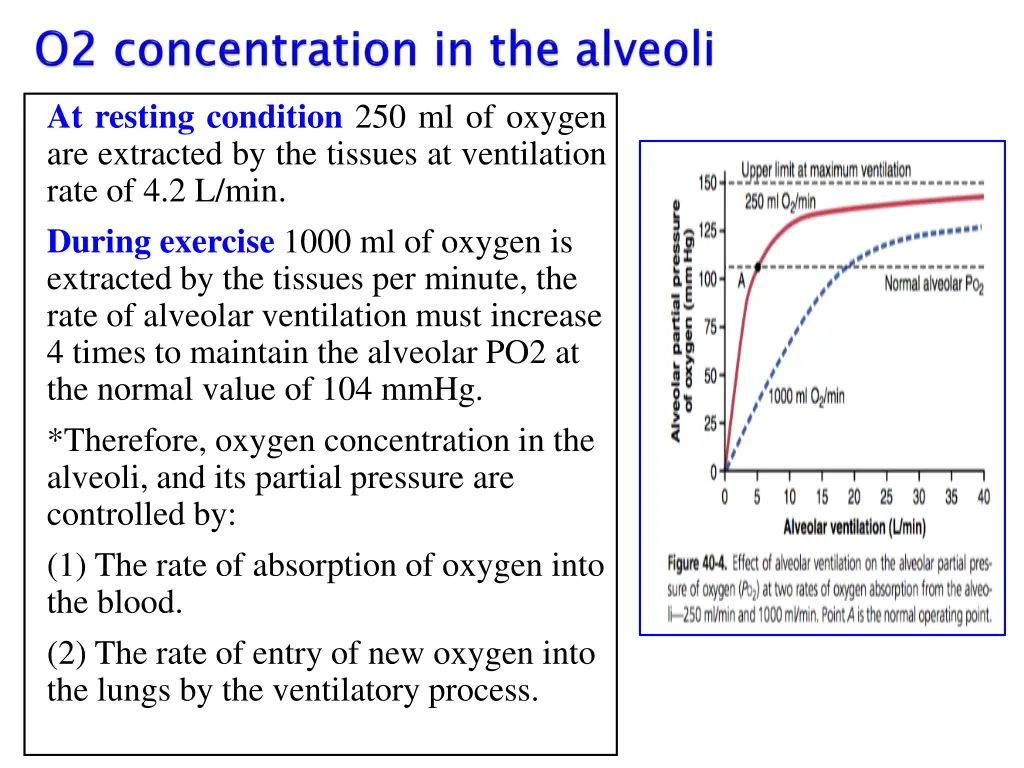 at resting condition 250 ml of oxygen