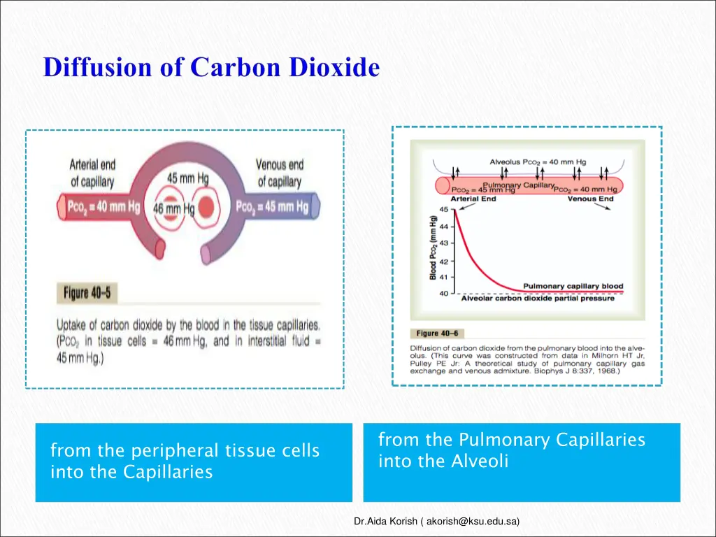 from the pulmonary capillaries into the alveoli