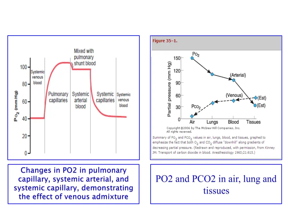 slide17