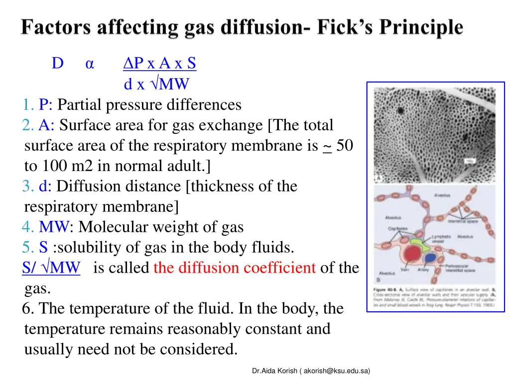 slide8