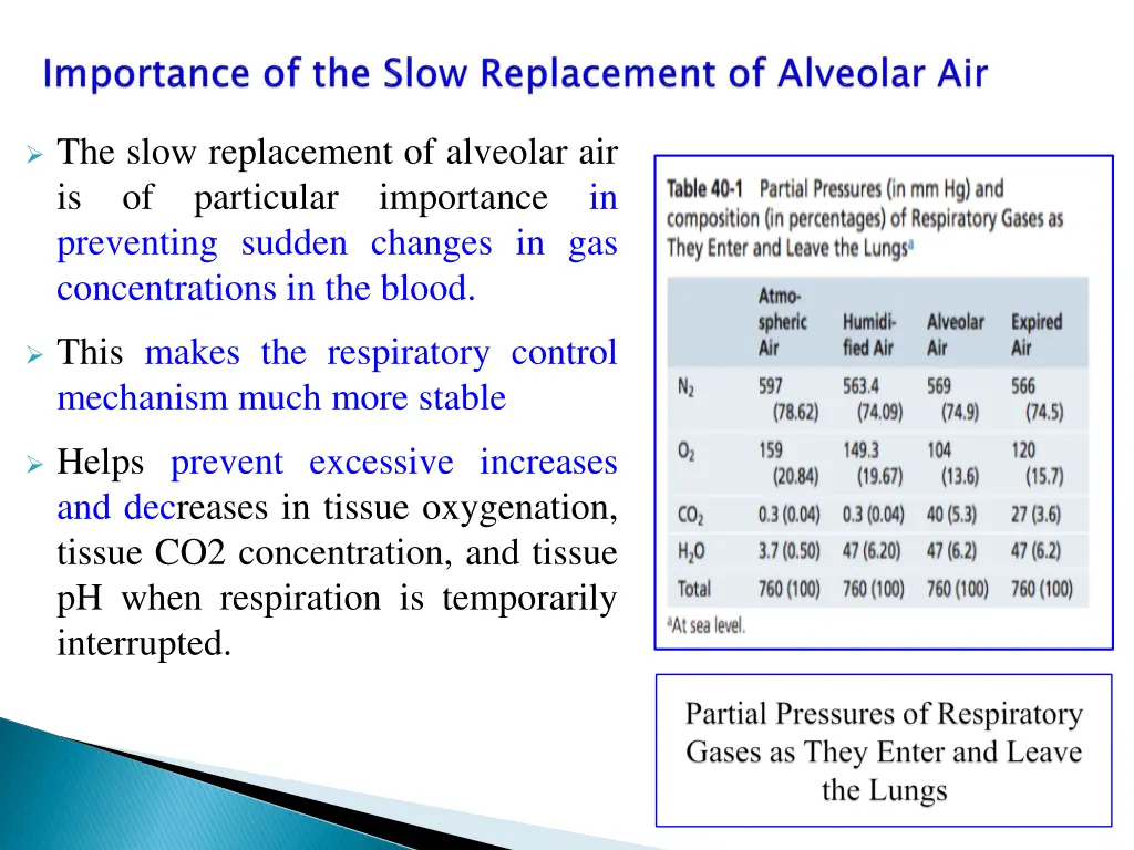 the slow replacement of alveolar