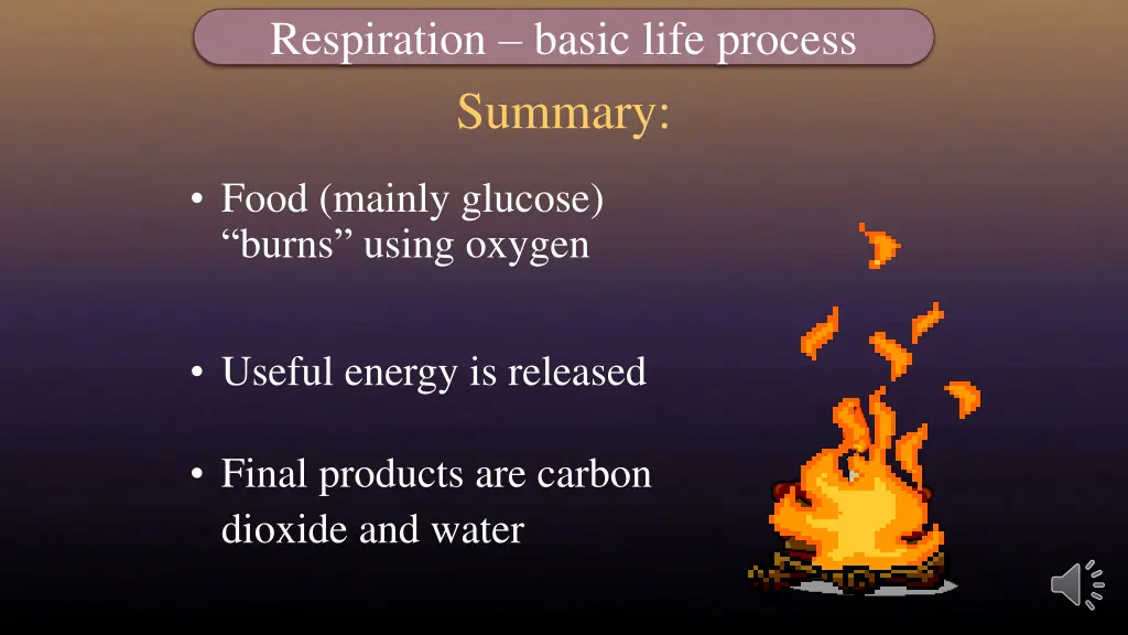 respiration basic life process 1