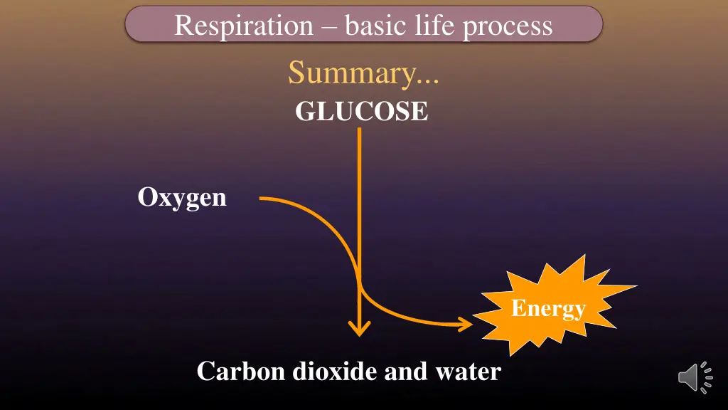 respiration basic life process 2