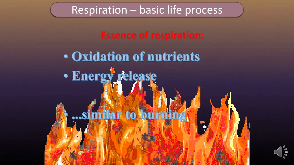 respiration basic life process