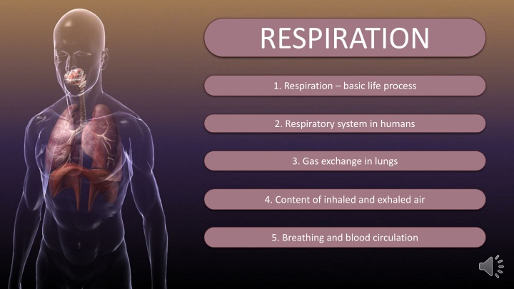 respiration