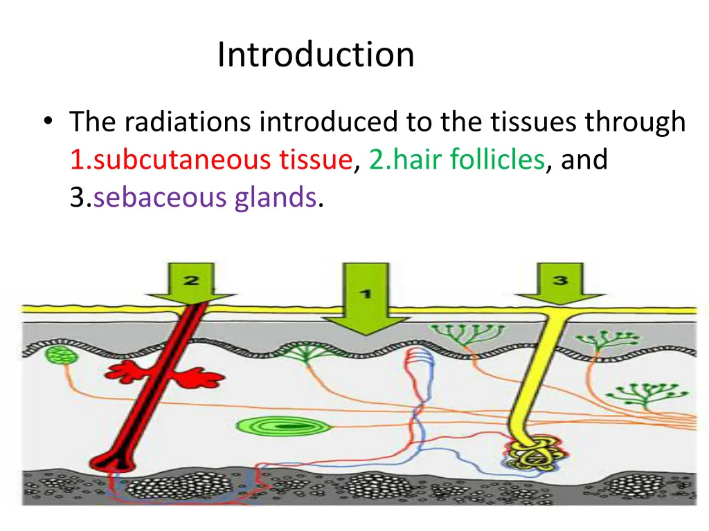 introduction 2