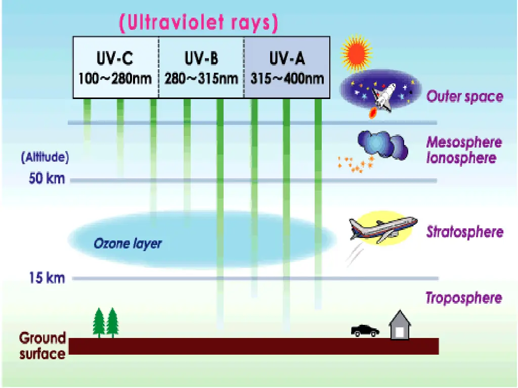 slide8