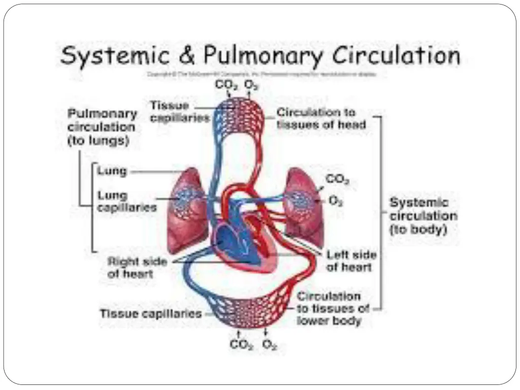 slide4