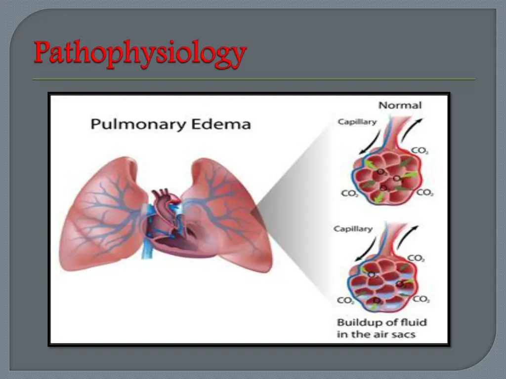 slide8