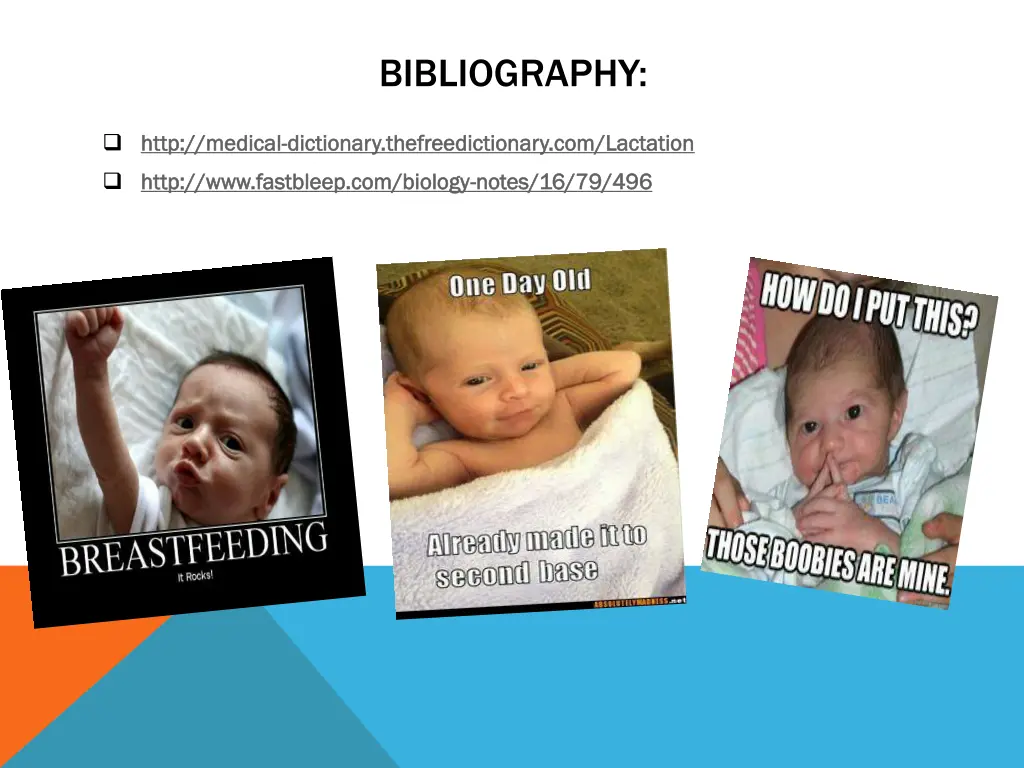 bibliography