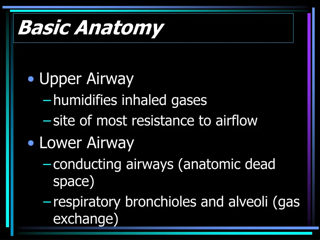 basic anatomy