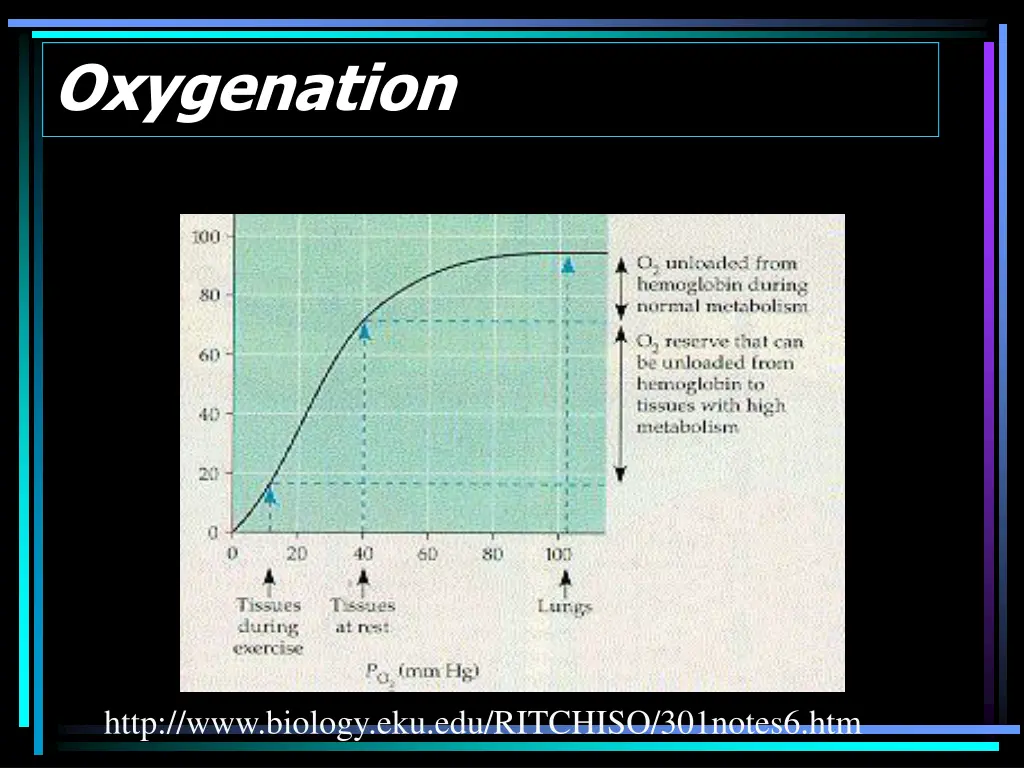 oxygenation 1