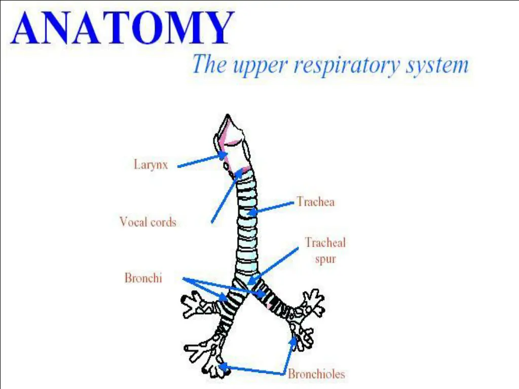 slide10