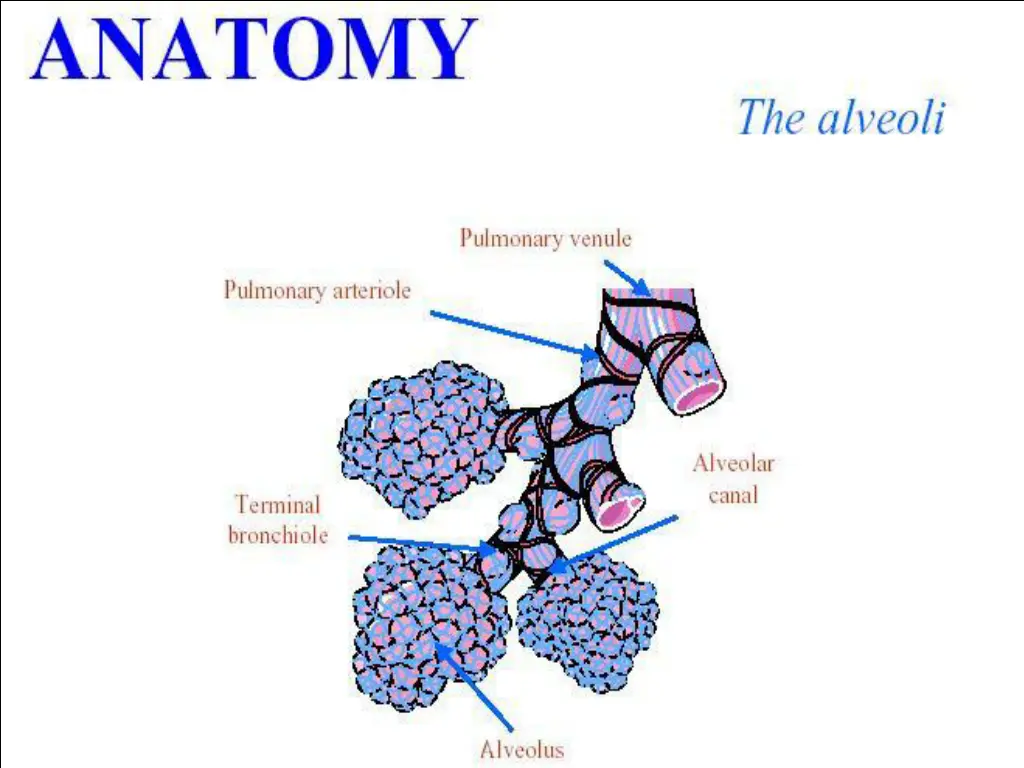slide13