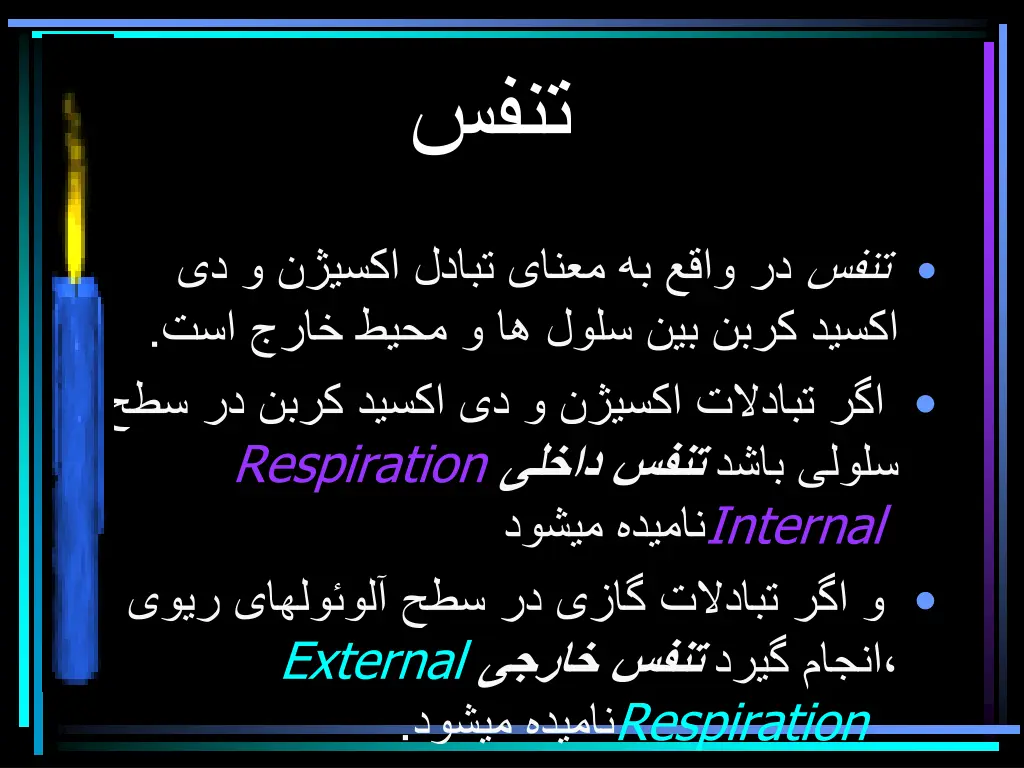 slide19