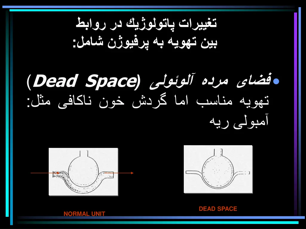 slide31